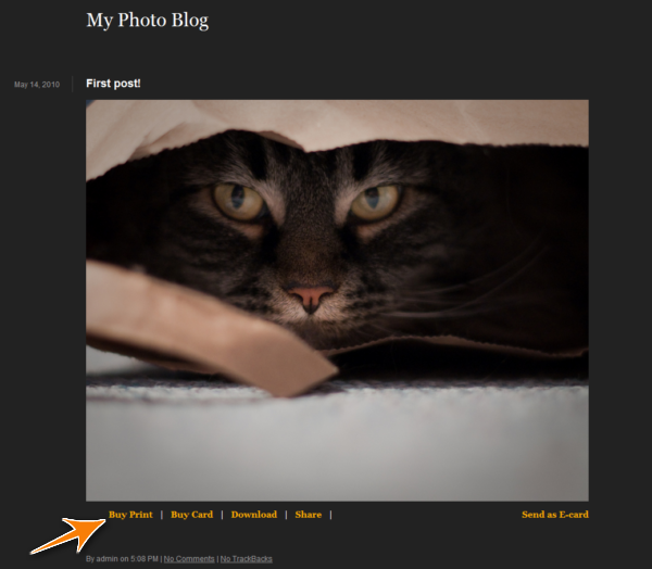 MovableType site screenshot